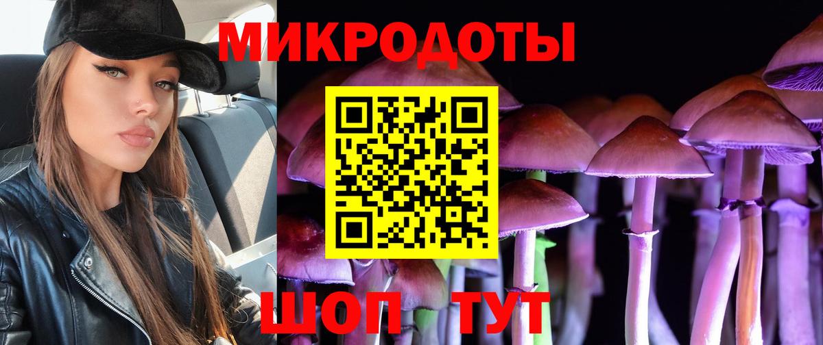 ГАШ Гусиноозёрск