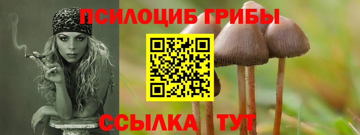 Гусиноозёрск  Псилоцибиновые грибы GOLDEN TEACHER  Вход с VPN 